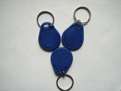 ABS 45x28mm Keyfob - Keychain Access