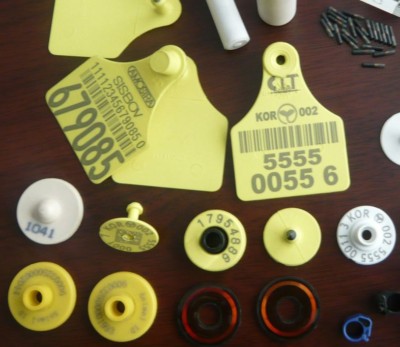 Rfid cattle tags